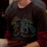 Batman & Robin shirt worn by Sheldon on The Big Bang Theory