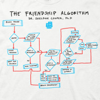 Friendship Algorithm Shirt