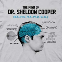 Diagram of Sheldon Cooper's Mind Shirt