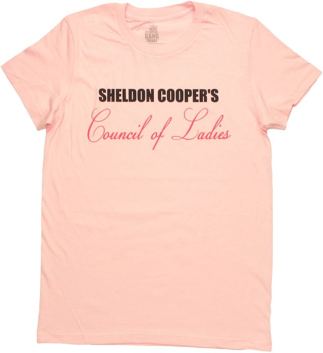stylin-big-bang-sheldon-council-of-ladies