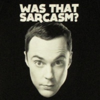 Was That Sarcasm Sheldon Shirt