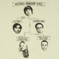 Howard Wolowitz Friendship Levels Shirt